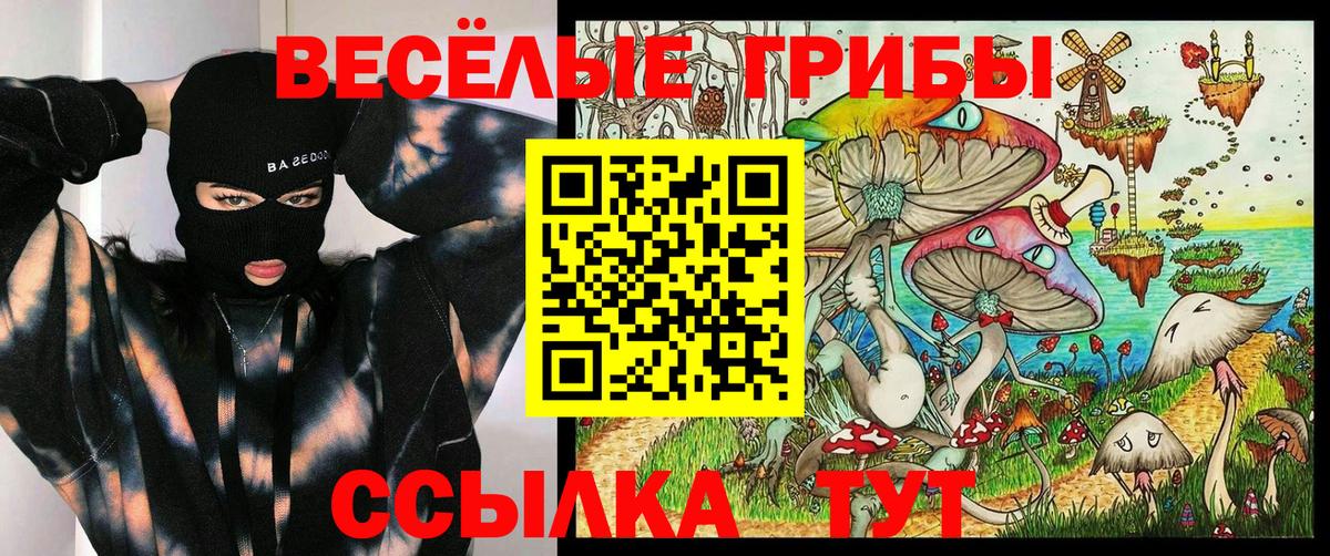 Скопин  Галлюциногенные грибы MAGIC MUSHROOMS  Вход с VPN 